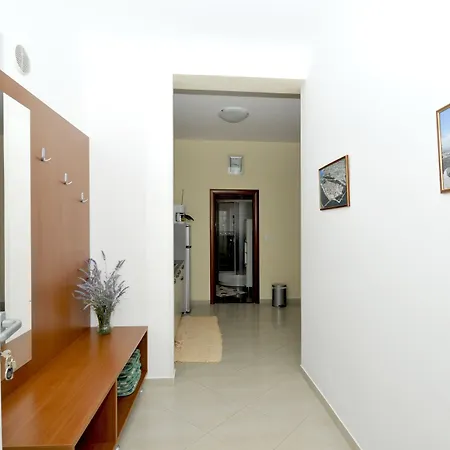 Roza * טרוגיר